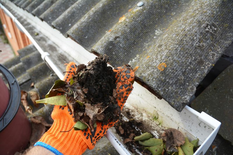 Gutter Leaf Clearing in Long Island, NY