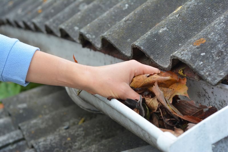 Gutter Leaf Clearing in Richmond, VA