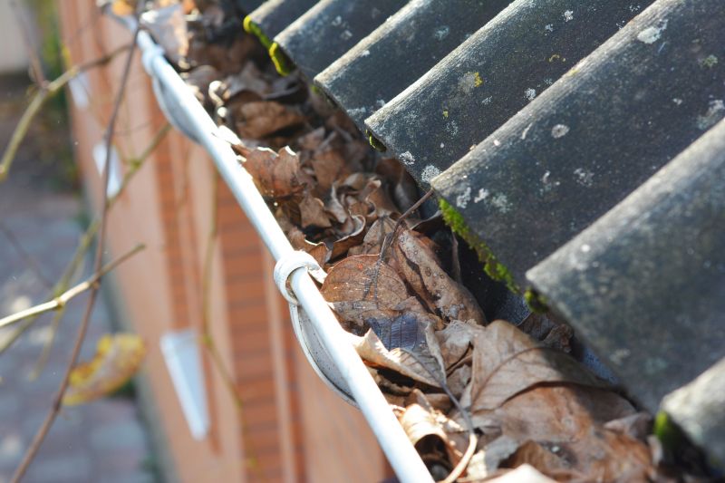 Gutter Leaf Clearing in Annapolis, MD