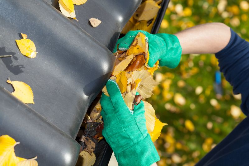 Gutter Leaves Removal in Baltimore, MD
