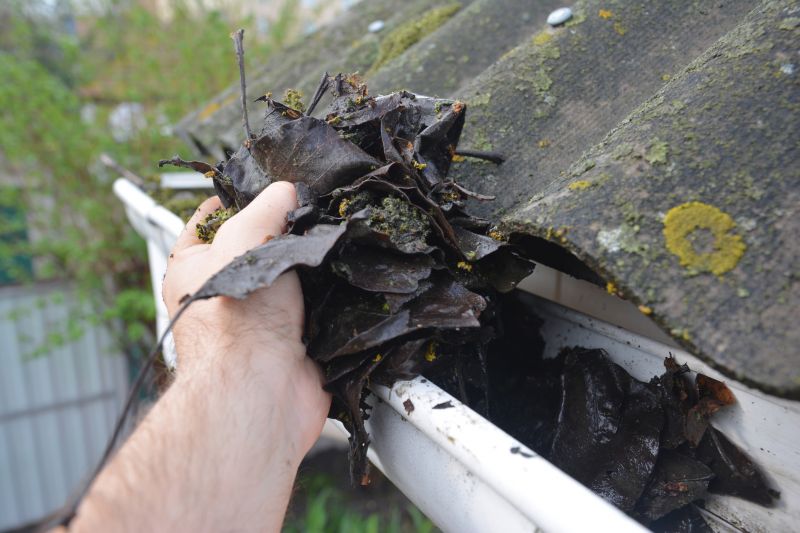 Gutter Maintenance in Monmouth County, NJ