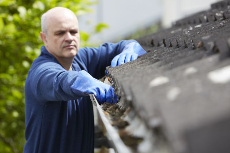 Gutter and Roof Maintenance