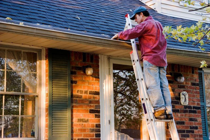 Roof Gutter Cleaning in Frederick, MD